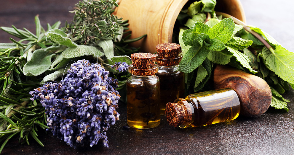 herbaceous fragrance oils