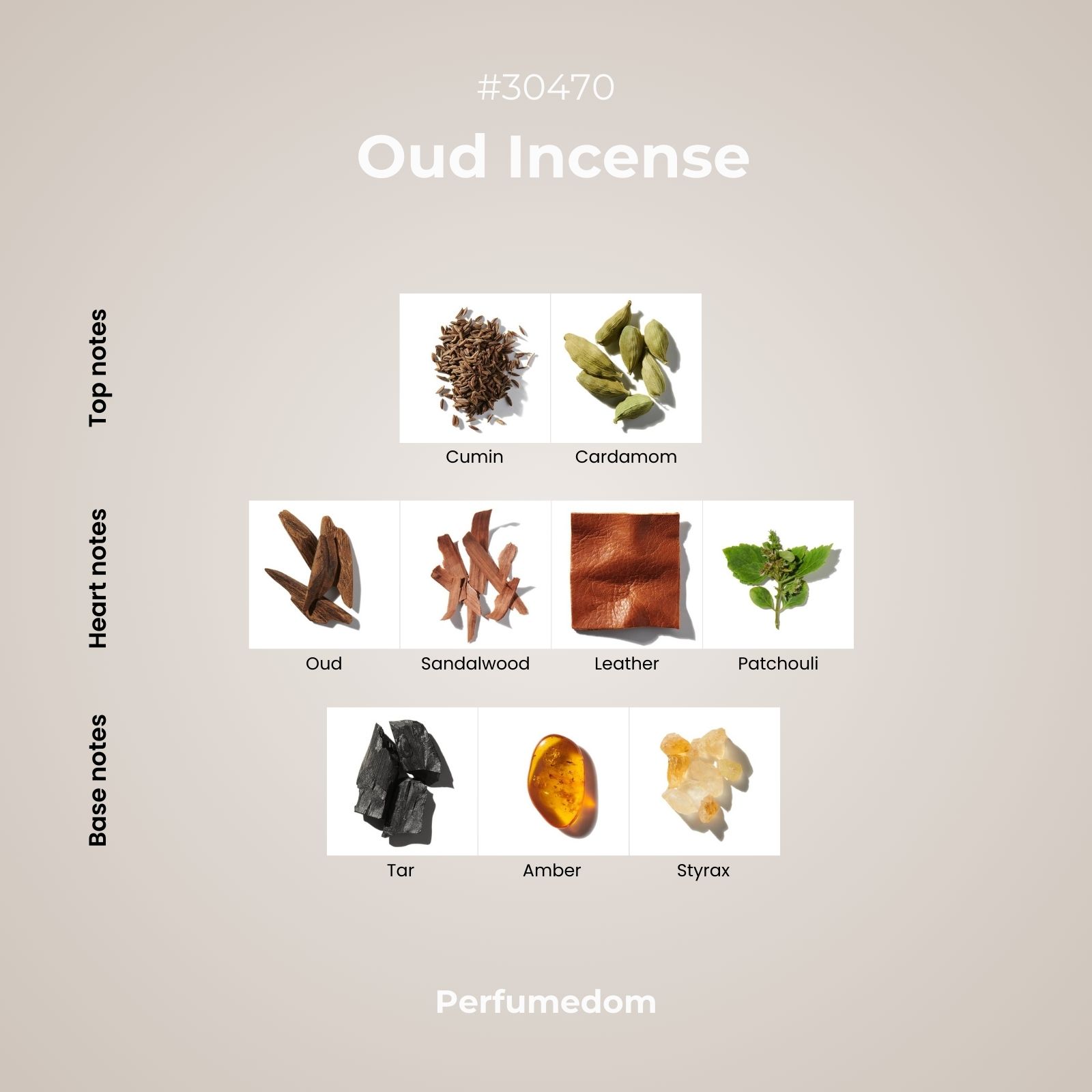 Oud Incense Fragrance Oil scent pyramid