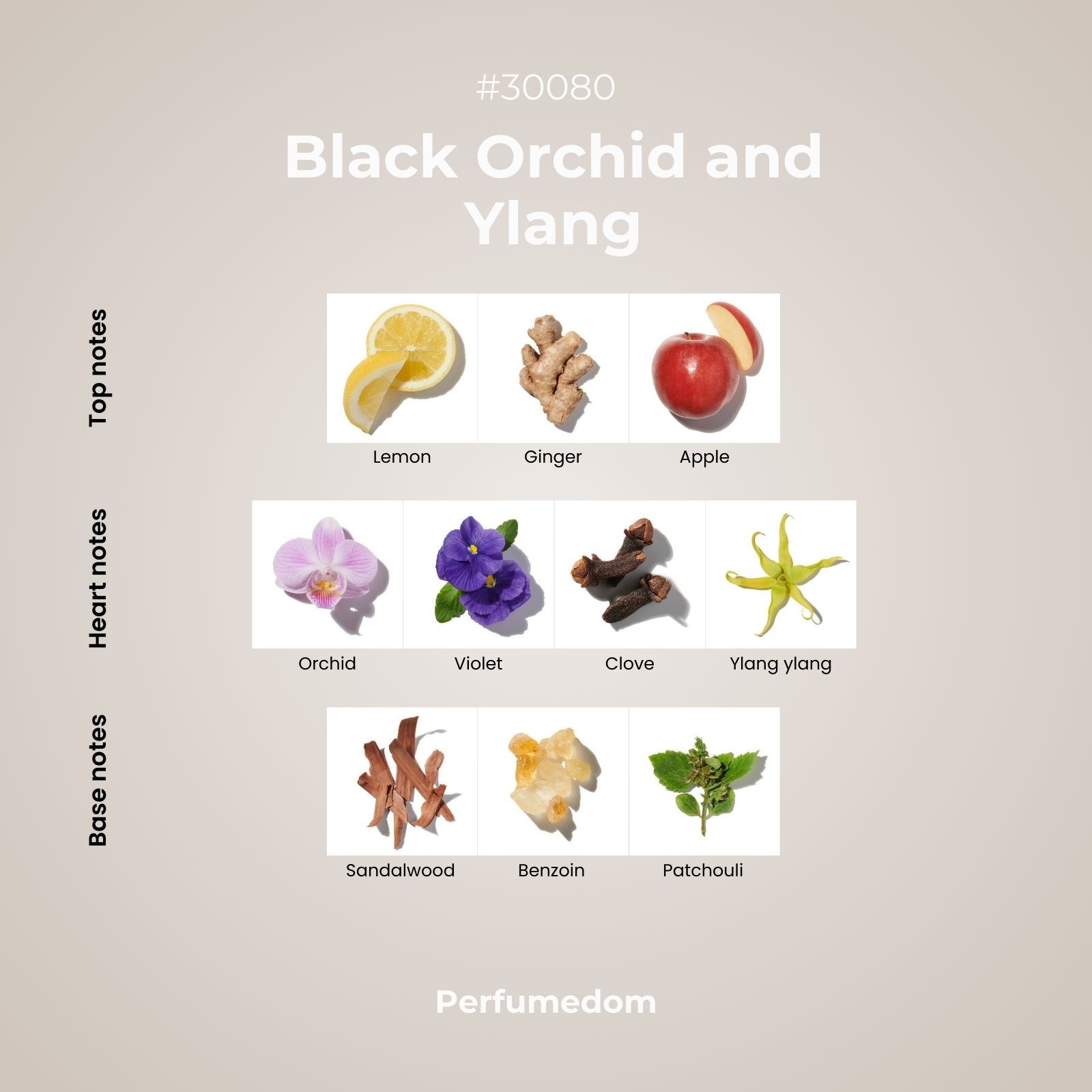 Black Orchid and Ylang Frangrance Oil scent pyramid