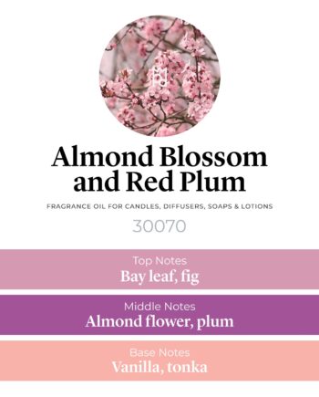 Almond Blossom and Red Plum Fragrance Oil profile