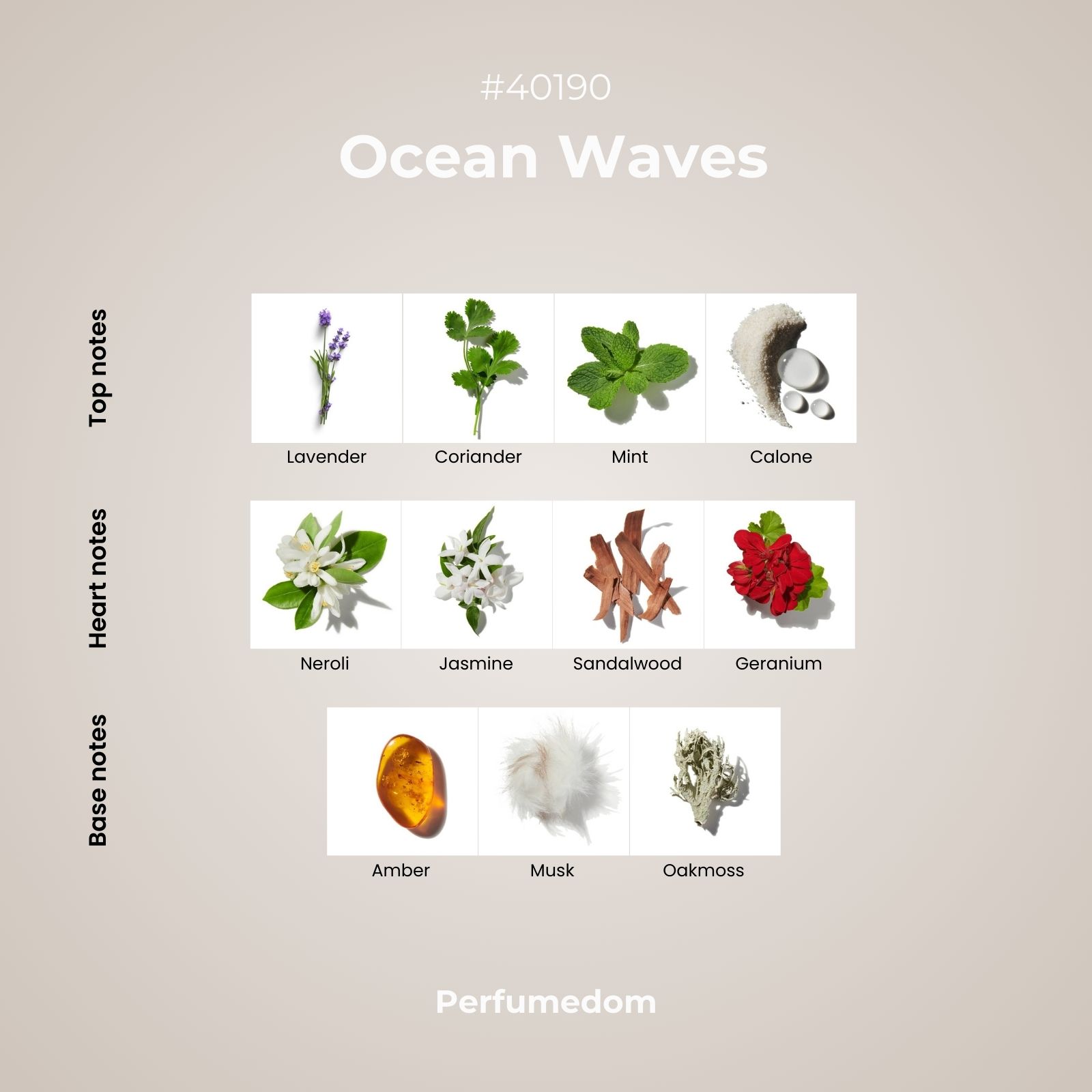 Ocean Waves Fragrance Oil scent pyramid