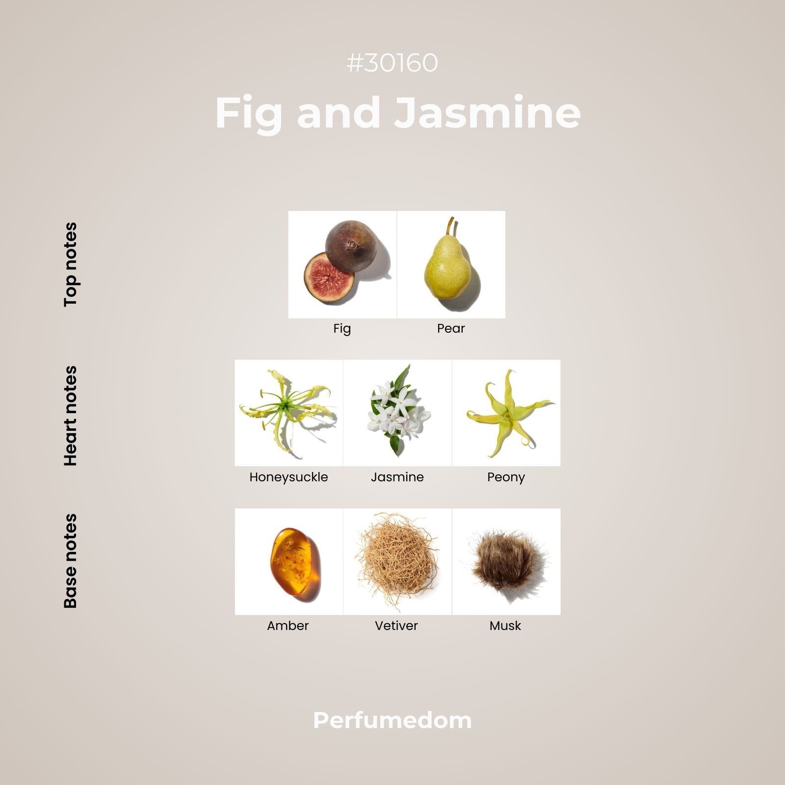 Fig and Jasmine Fragrance Oil scent pyramid