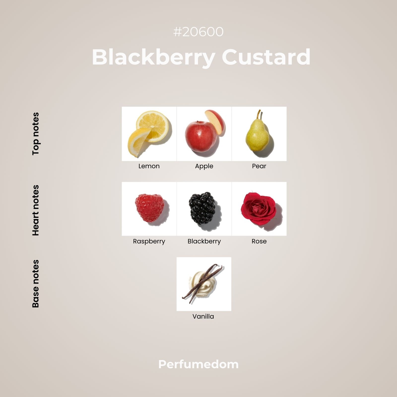 Blackberry Custard Fragrance Oil scent pyramid