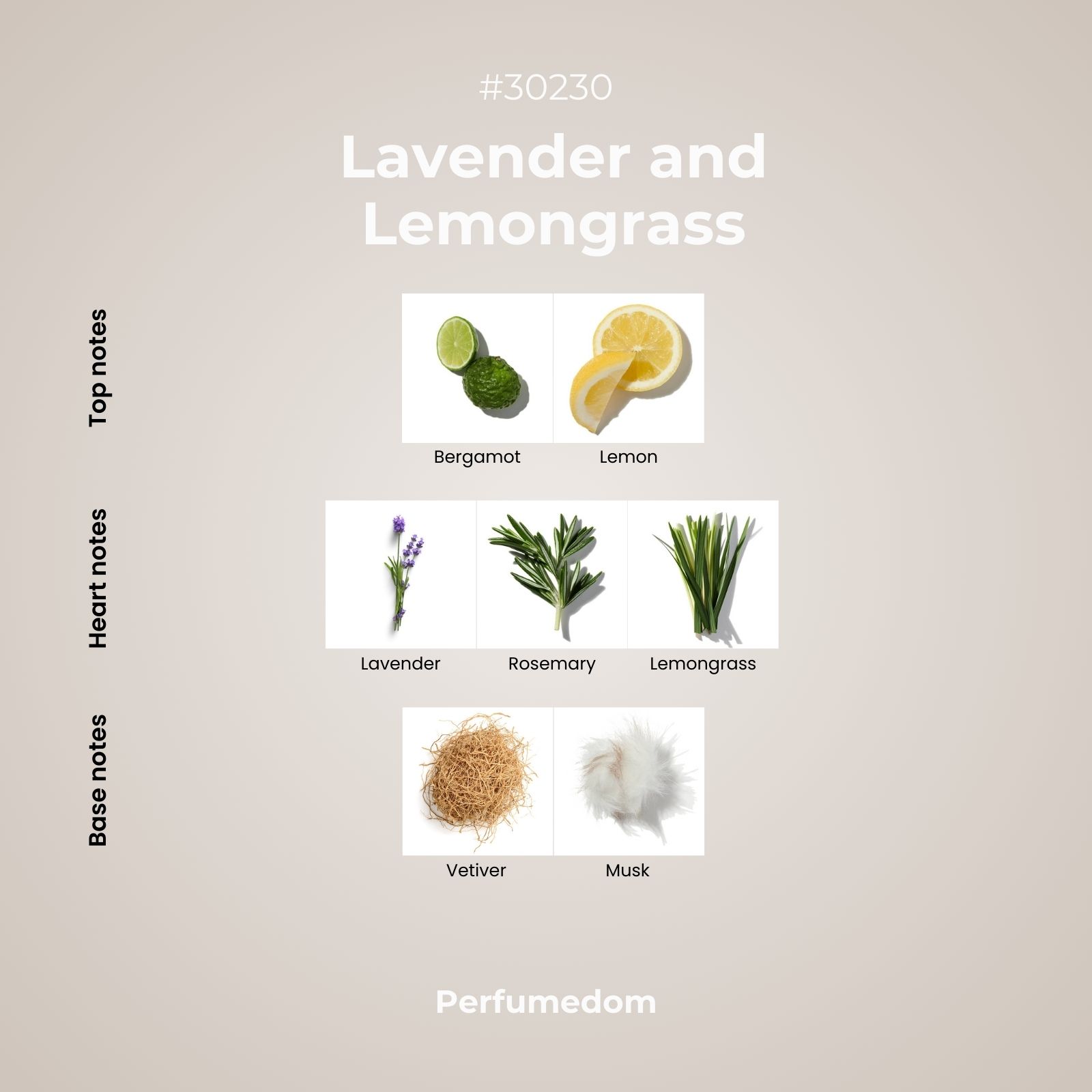 Lavender and Lemongrass Fragrance Oil scent pyramid