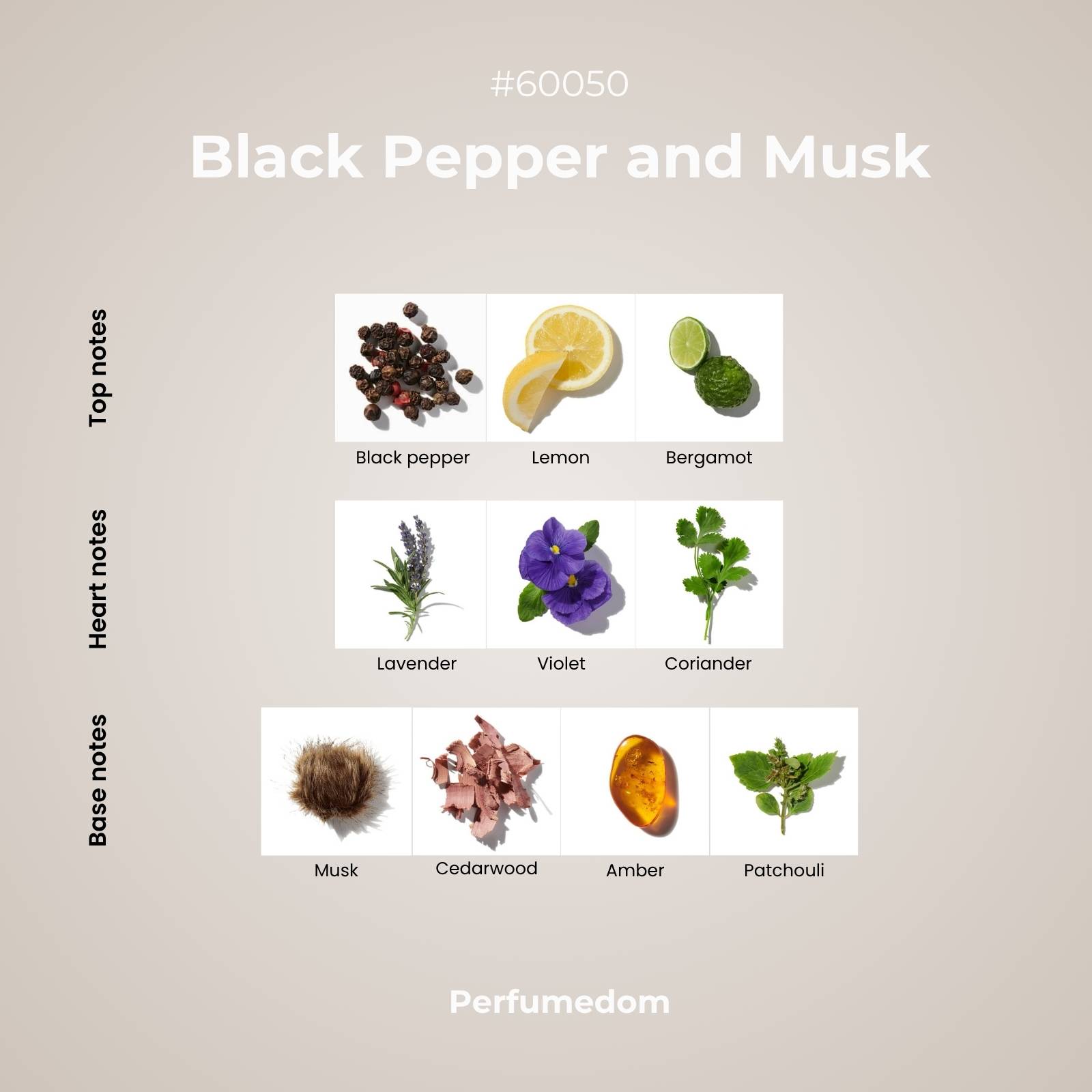 Black Pepper and Musk Scent pyramid
