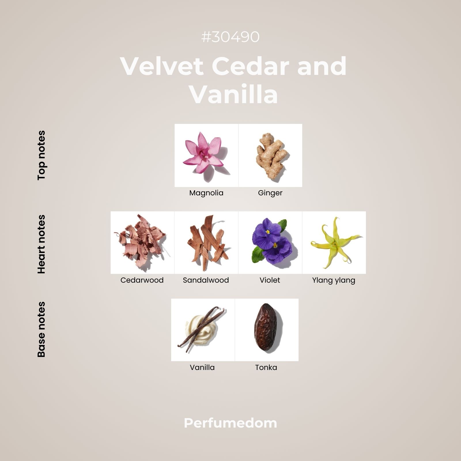 Velvet Cedar and Vanilla Fragrance Oil scent pyramid