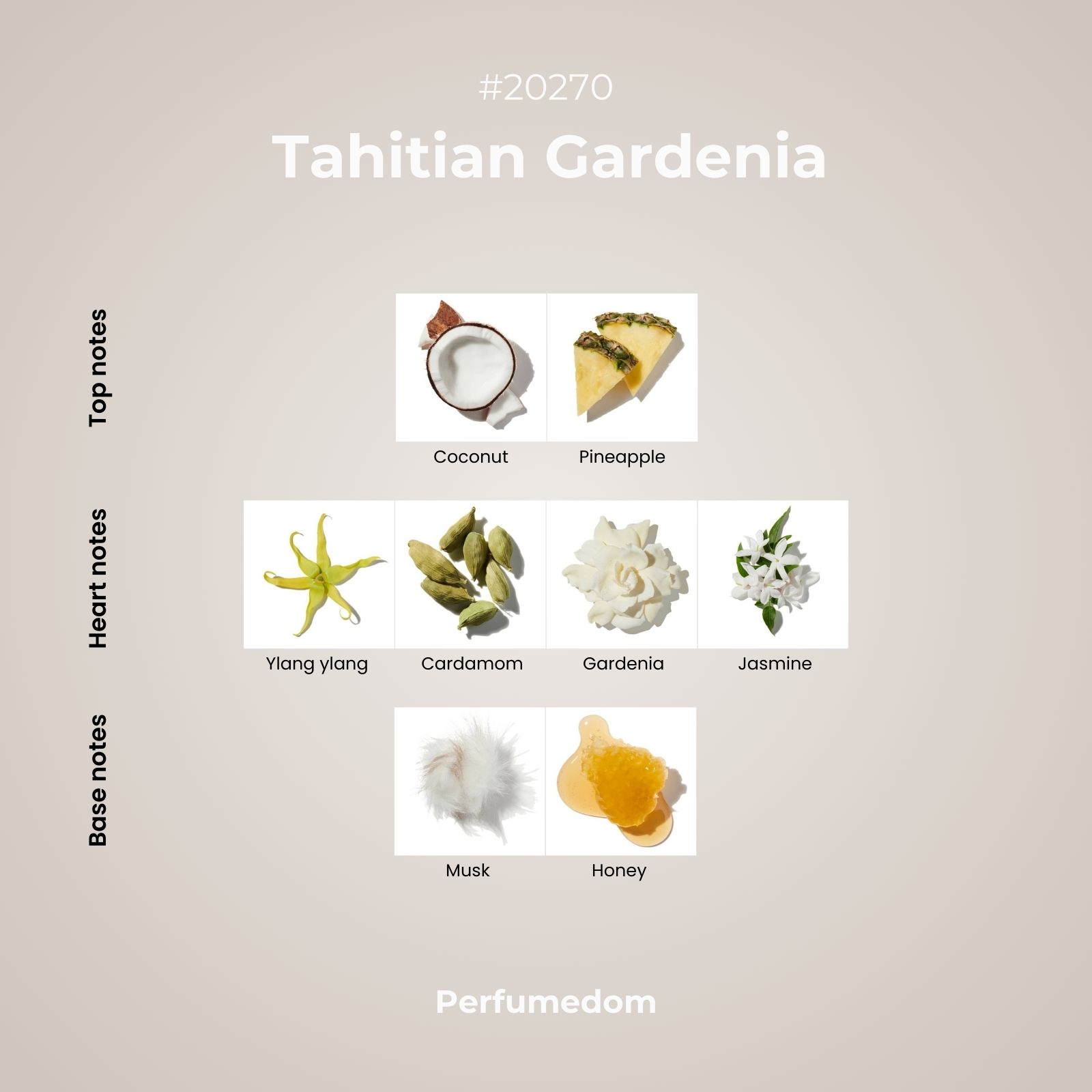 Tahitian Gardenia Fragrance Oil scent pyramid