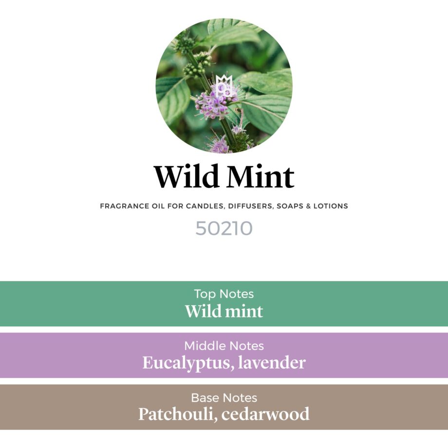 Wild mint fragrance oil scent pyramid