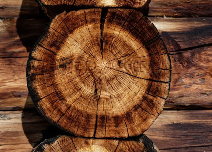 Woody Fragrance Oils Warm and inviting woody scents