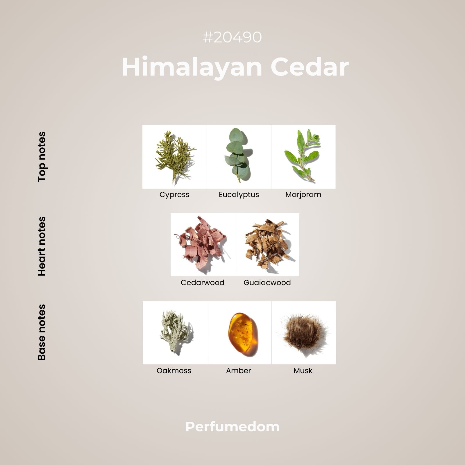 Himalayan Cedar Fragrance Oil scent pyramid