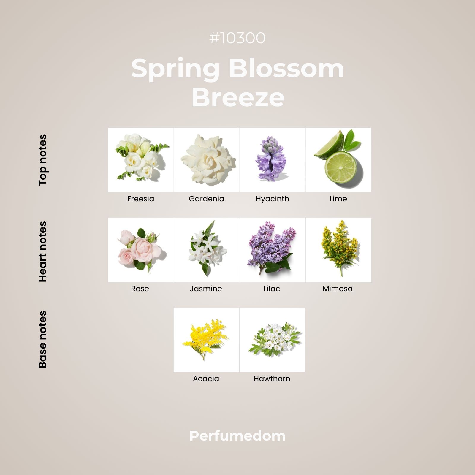 Spring Blossom Breeze Fragrance Oil scent pyramid