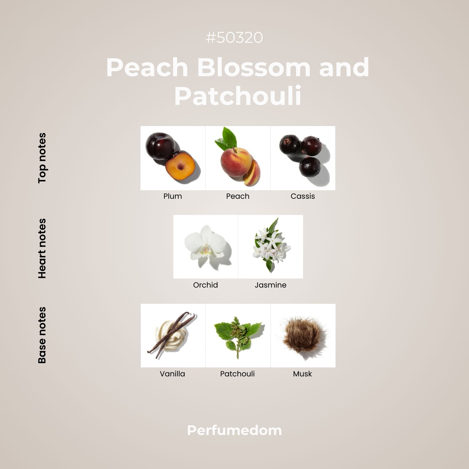 Peach Blossom and Patchouli Fragrance Oil scent pyramid