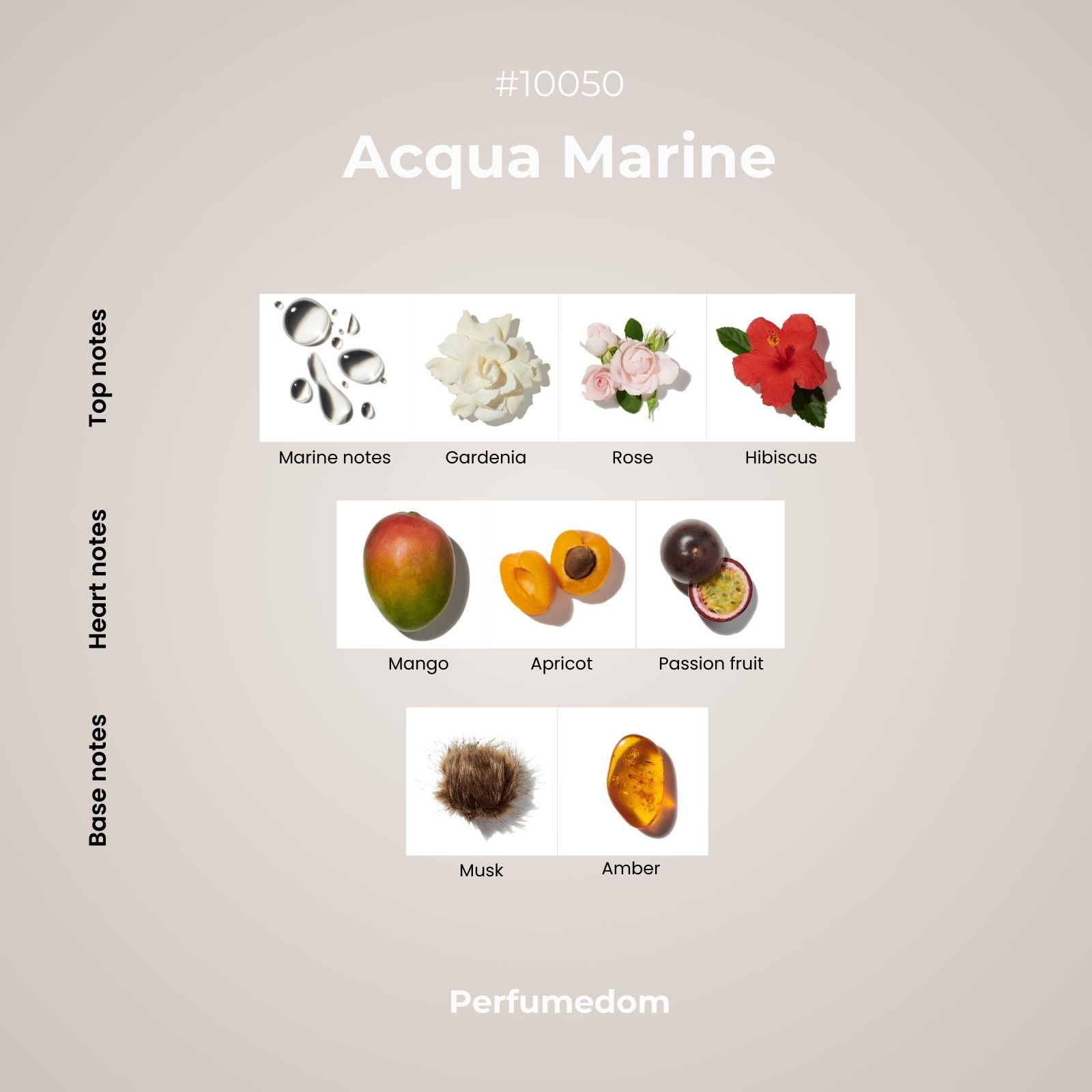 Acqua Marine Fragrance Oil scent pyramid