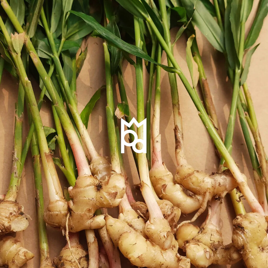 Ginger and Lemongrass Stimulating & Fresh Fragrance Oil