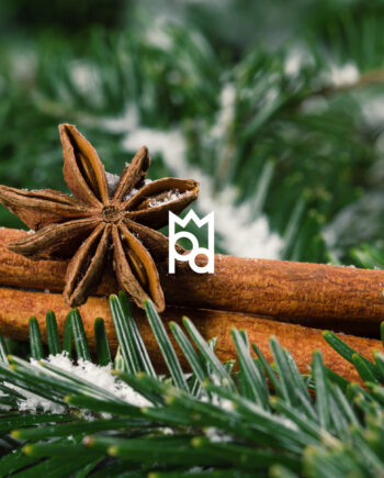 Christmas Spruce and Cinnamon Fragrance Oil