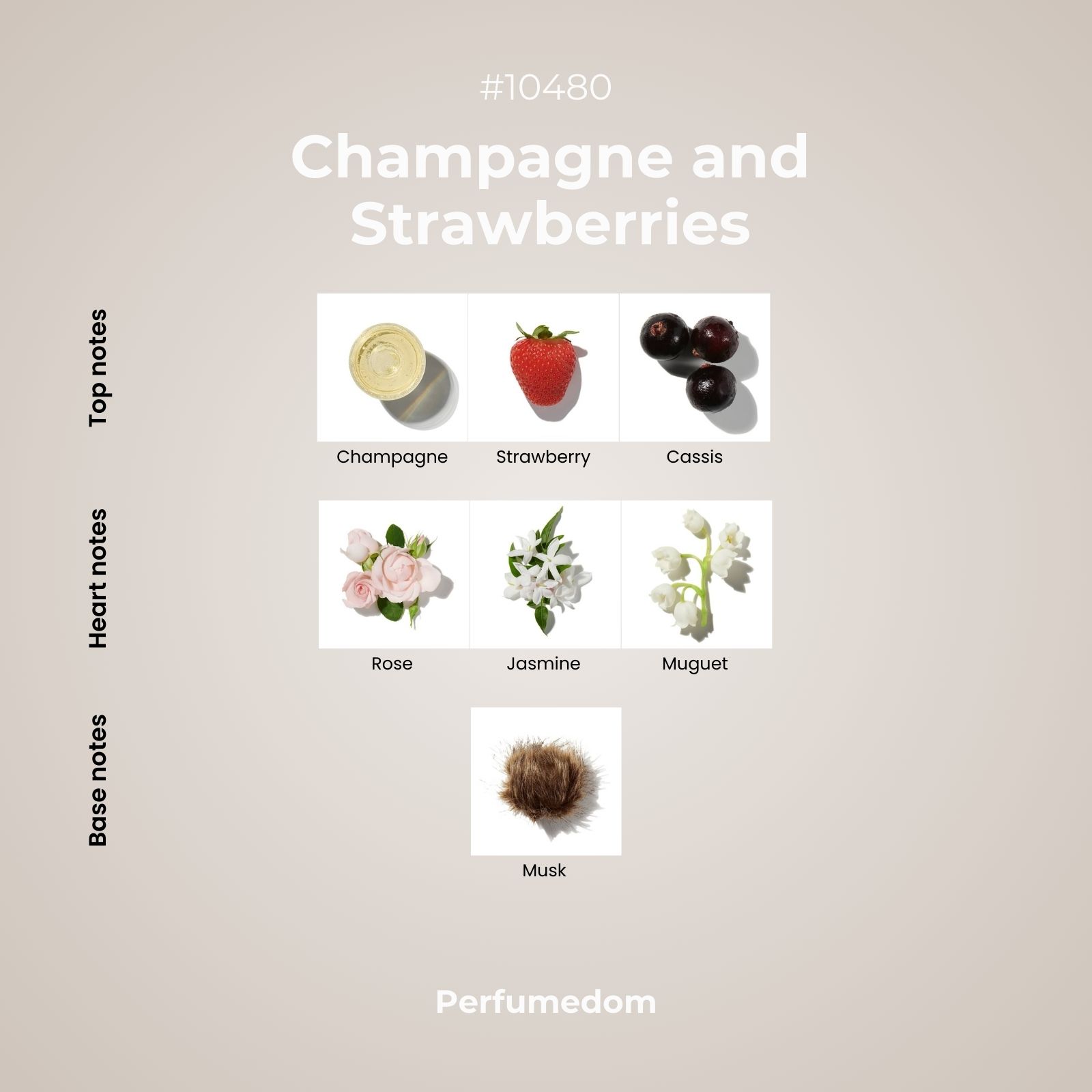 Champagne and Strawberries Fragrance Oil scent pyramid