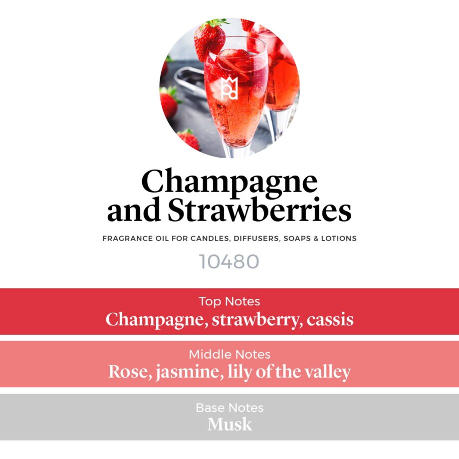 Champagne and Strawberries Fragrance Oil scent pyramid