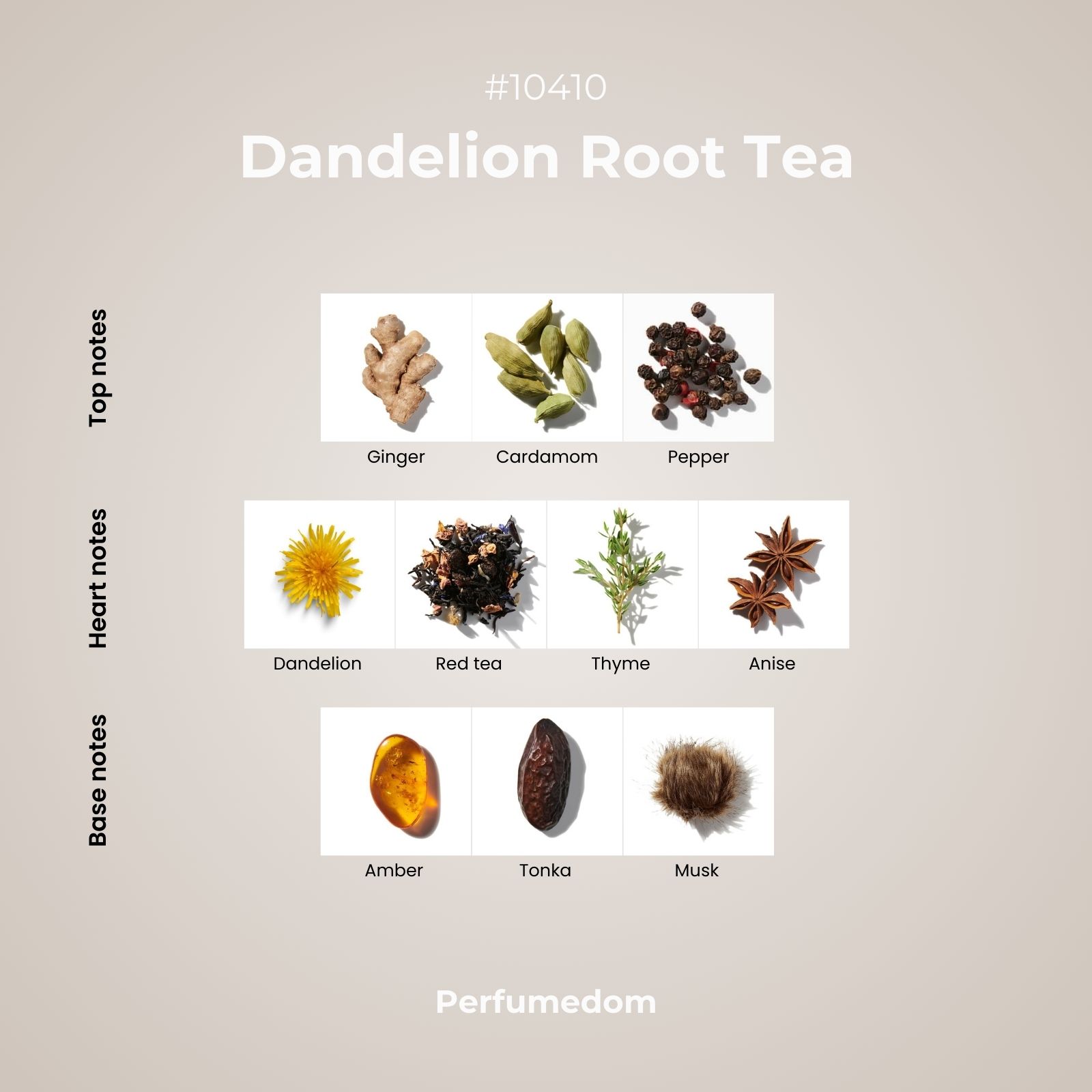 Dandelion Root Tea Fragrance Oil scent pyramid