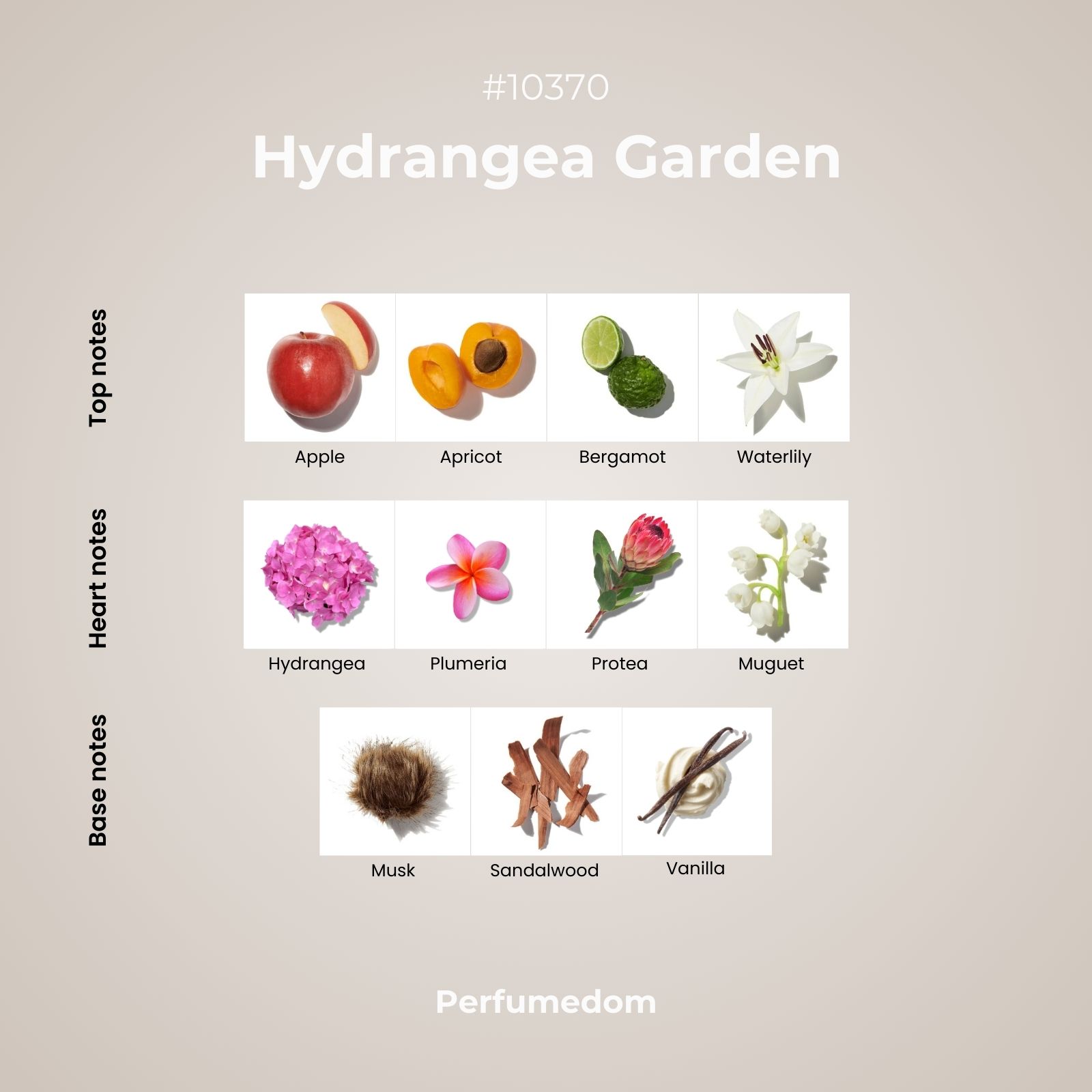 Hydrangea Garden Fragrance Oil scent pyramid