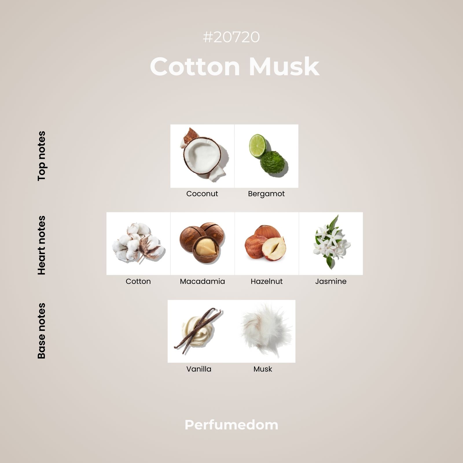 Cotton Musk Fragrance Oil scent pyramid
