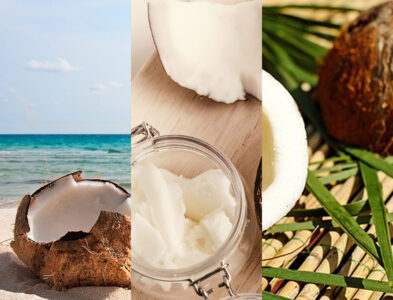 Coconut Fragrances