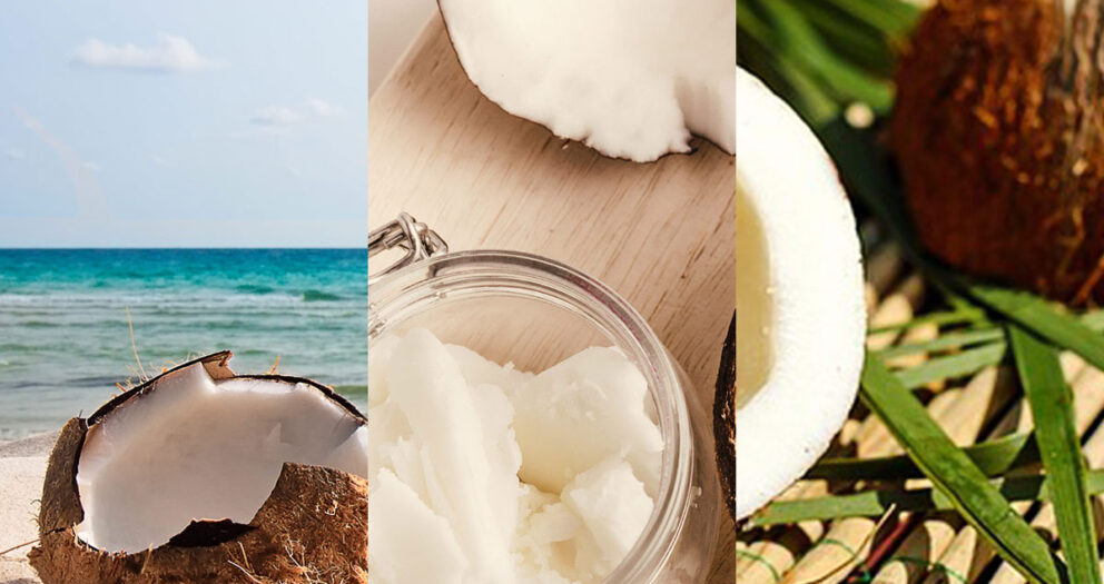 Coconut Fragrances