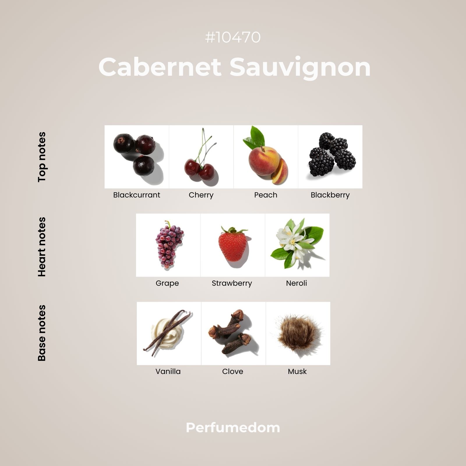 Cabernet Sauvignon Fragrance Oil scent pyramid