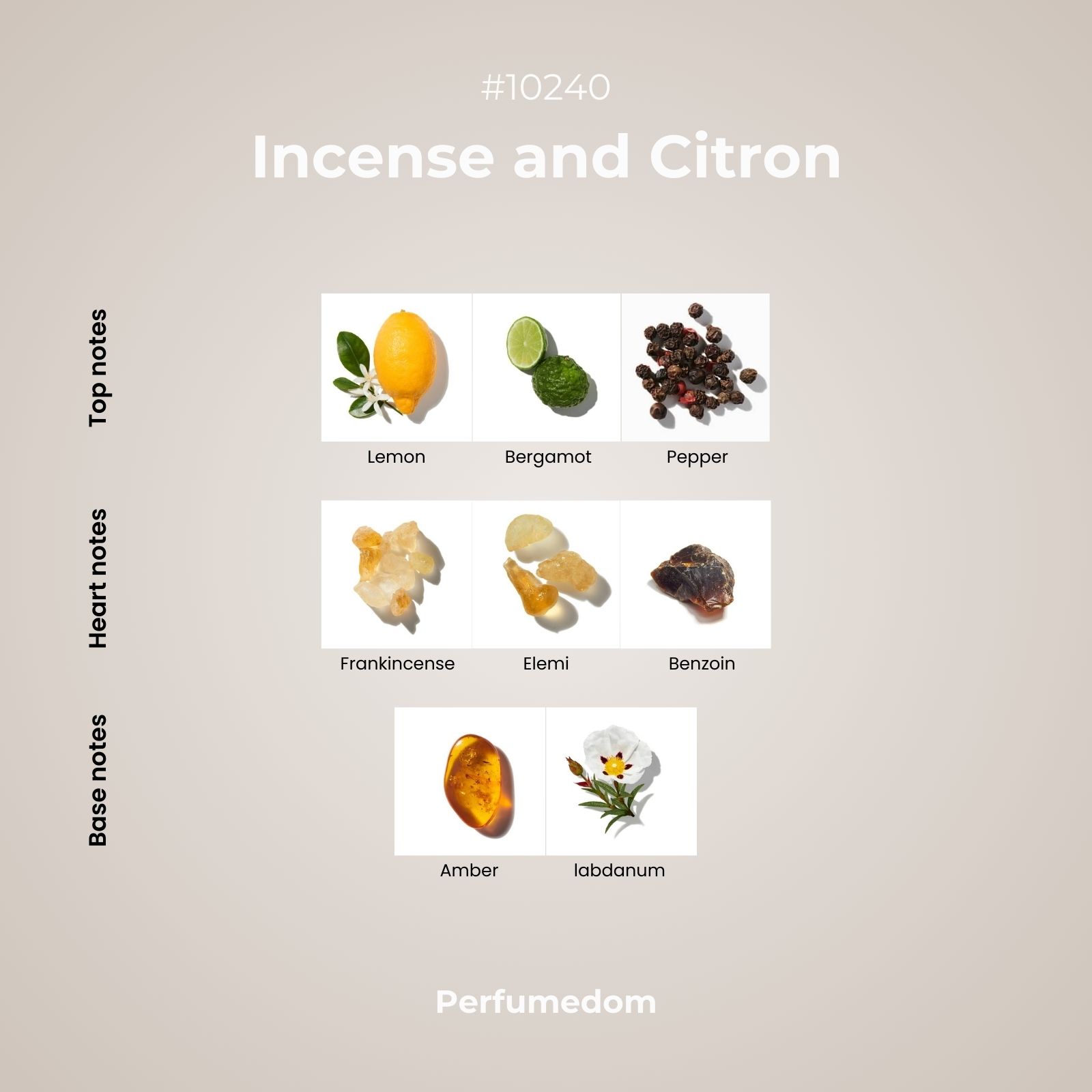 Incense and Citron Fragrance Oil scent pyramid