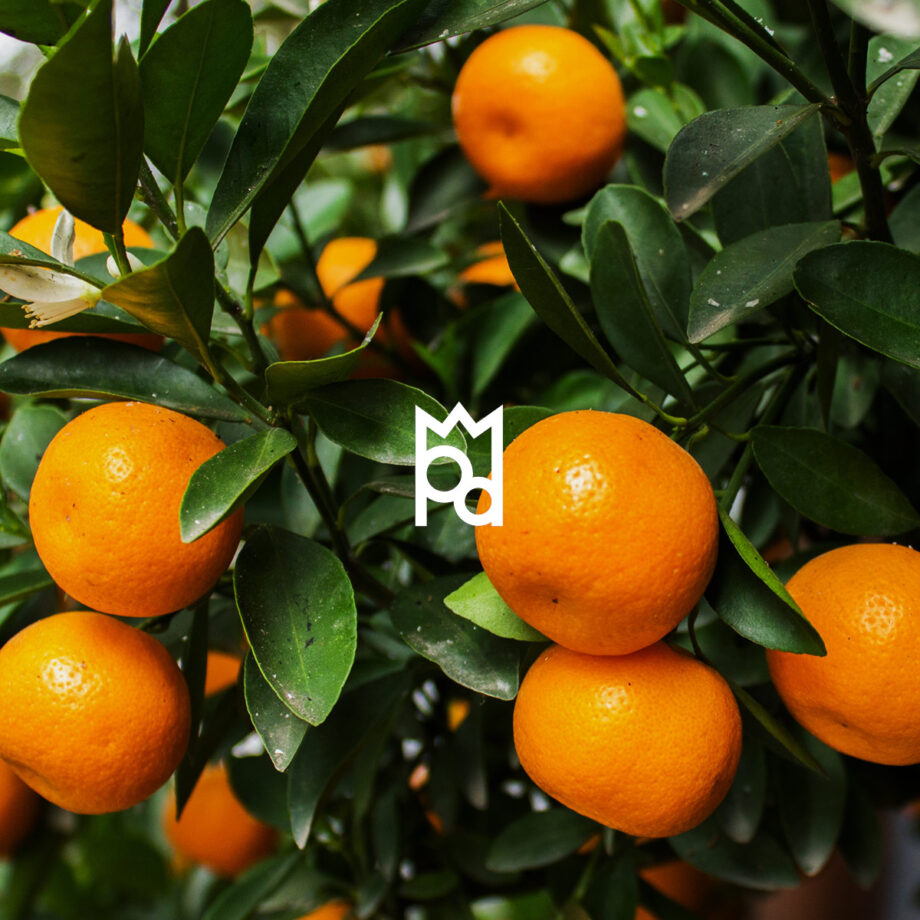 Mandarine Essential Oil