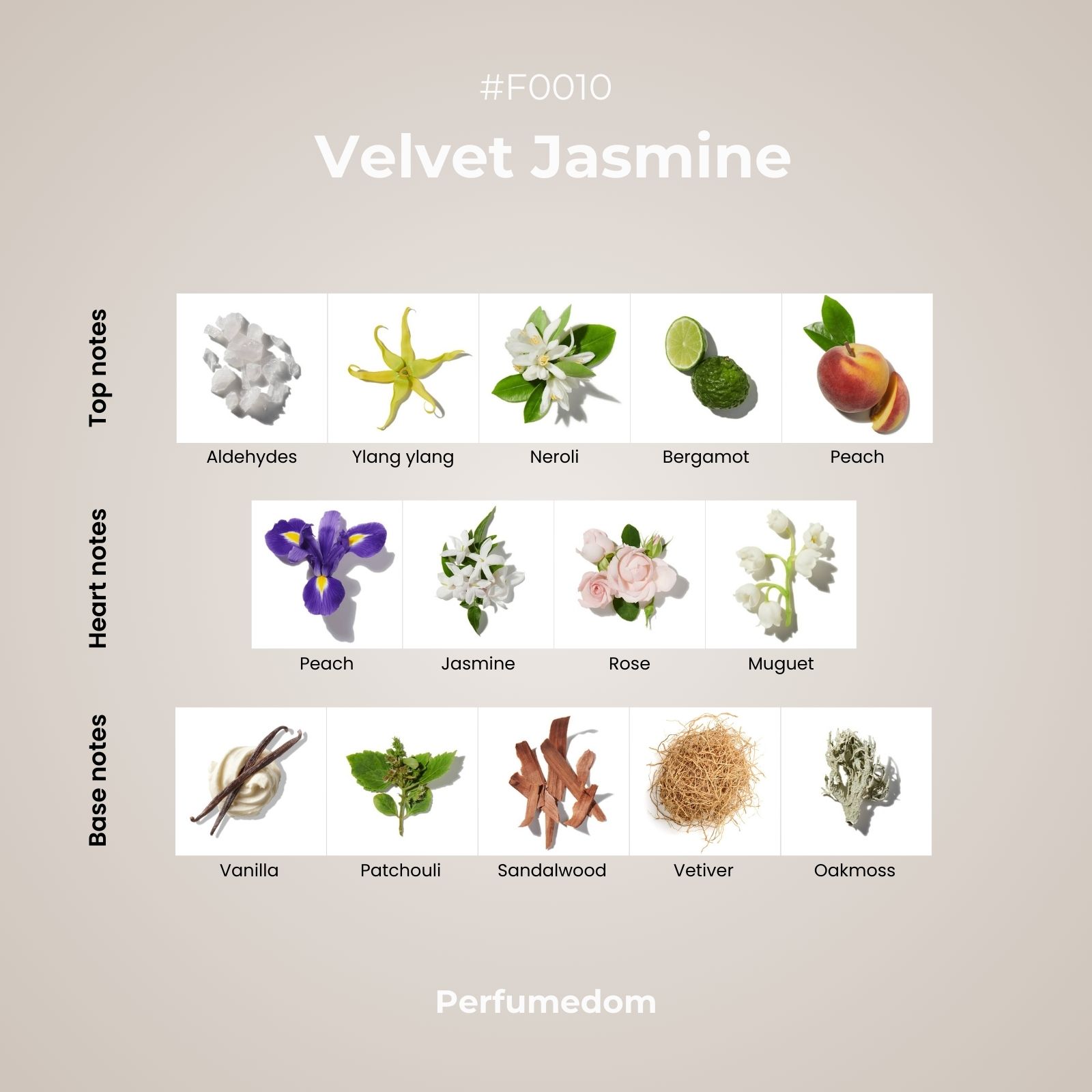 Velvet Jasmine Perfume Oil scent pyramid