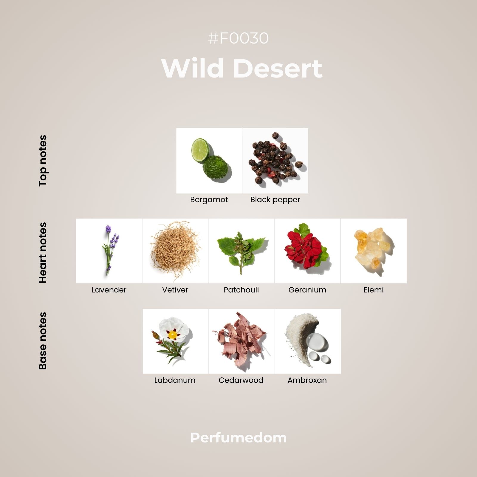Wild Desert Perfume Oil scent pyramid