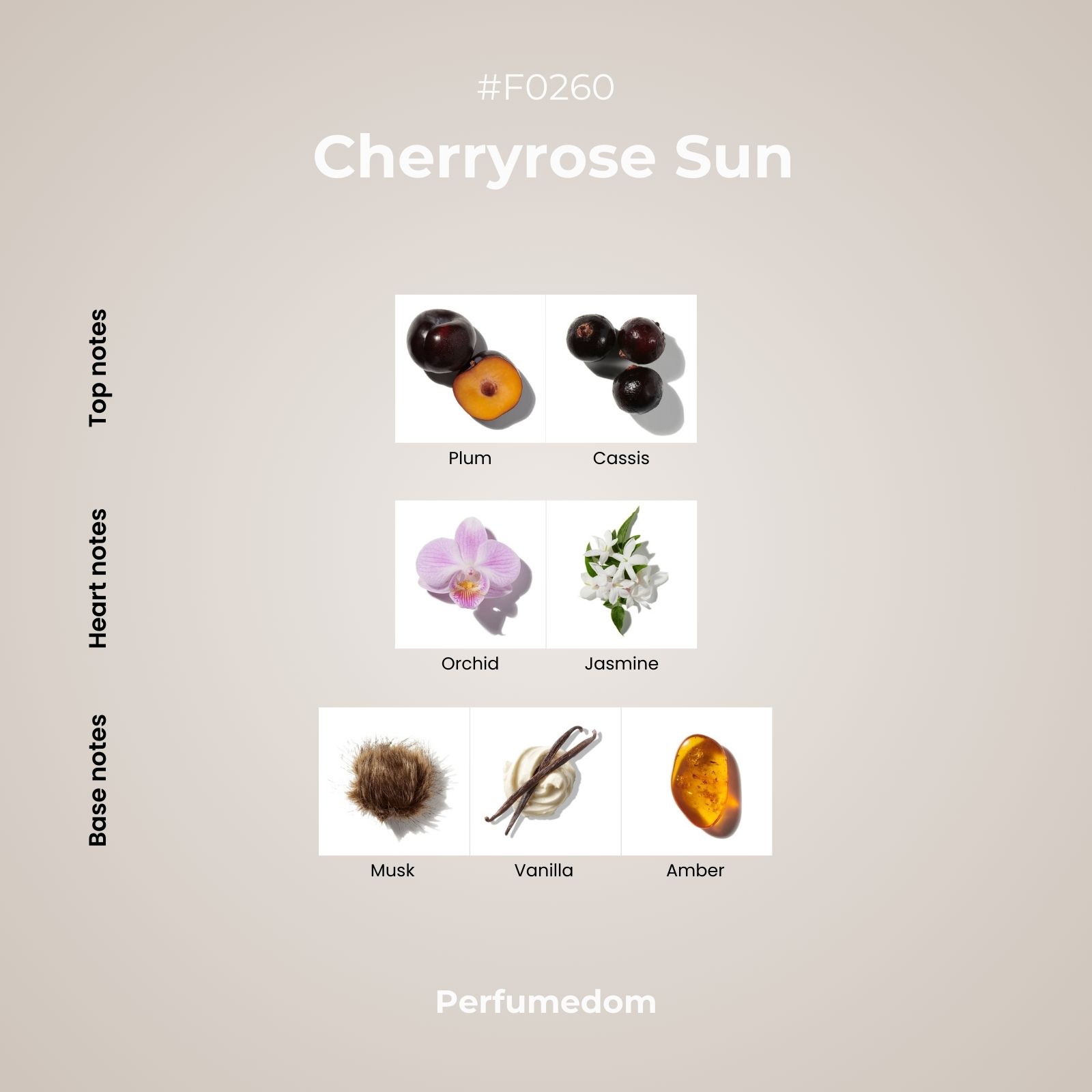 Cherryrose Sun Perfume Oil scent pyramid