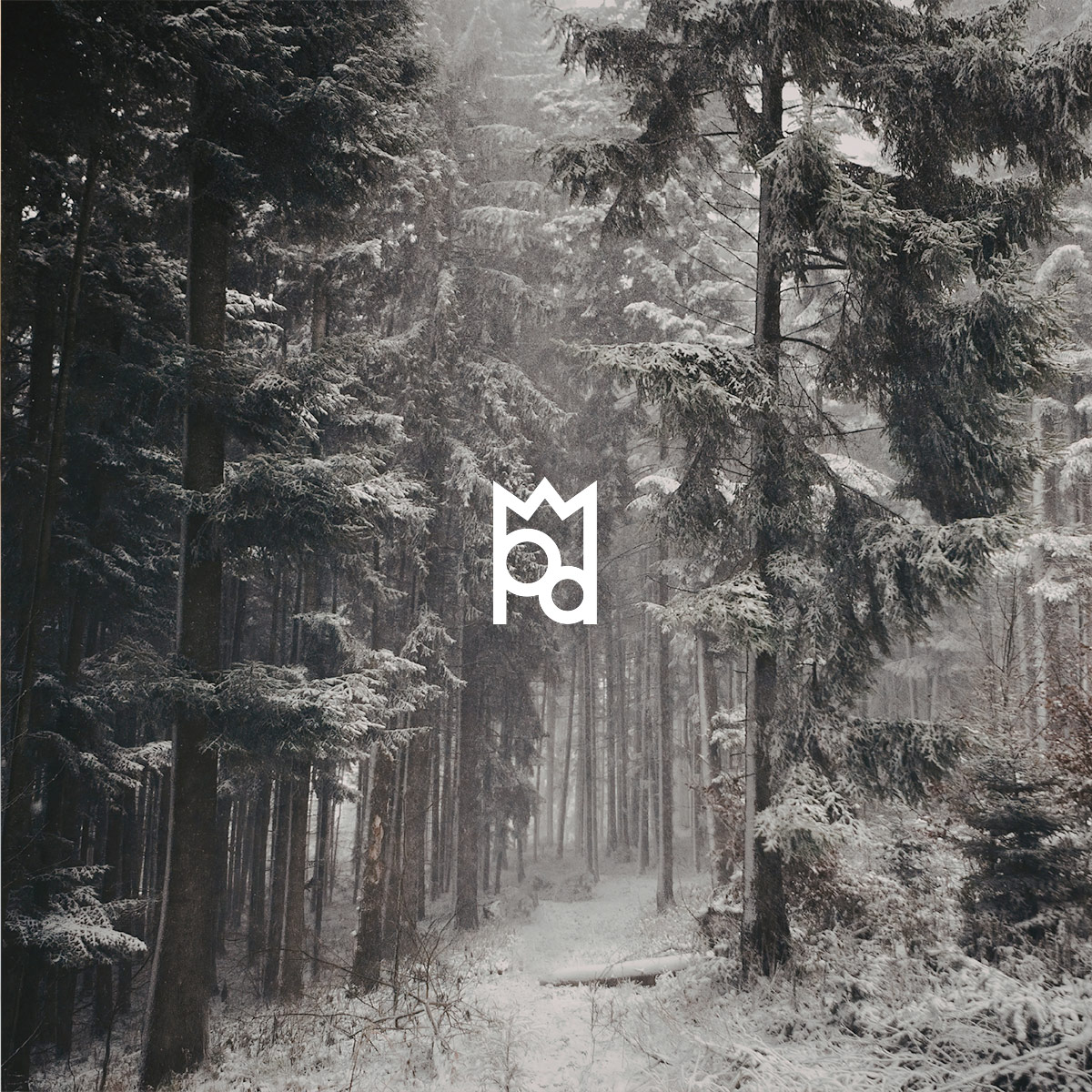 Alpine Stonewoods Fragrance Oil