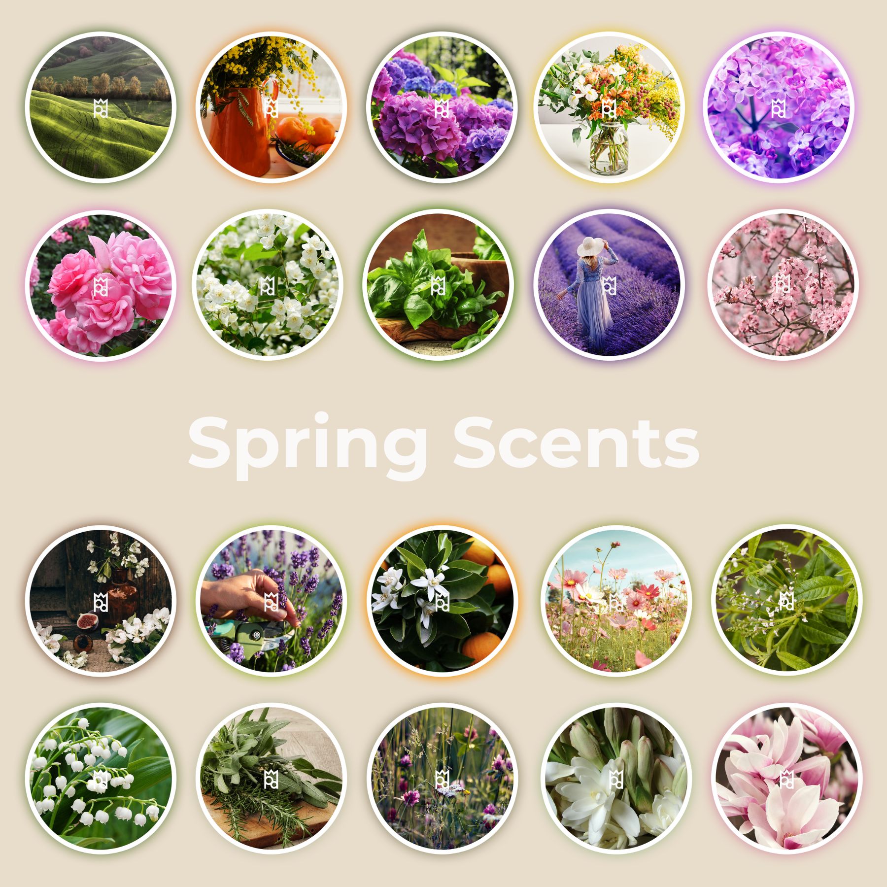 Spring Fragrance Sample Kit with 20 best-selling floral, green and fresh scents