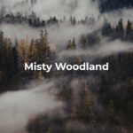 Misty Woodland