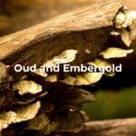 Oud and Embergold