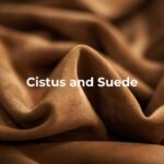 Cistus and Suede