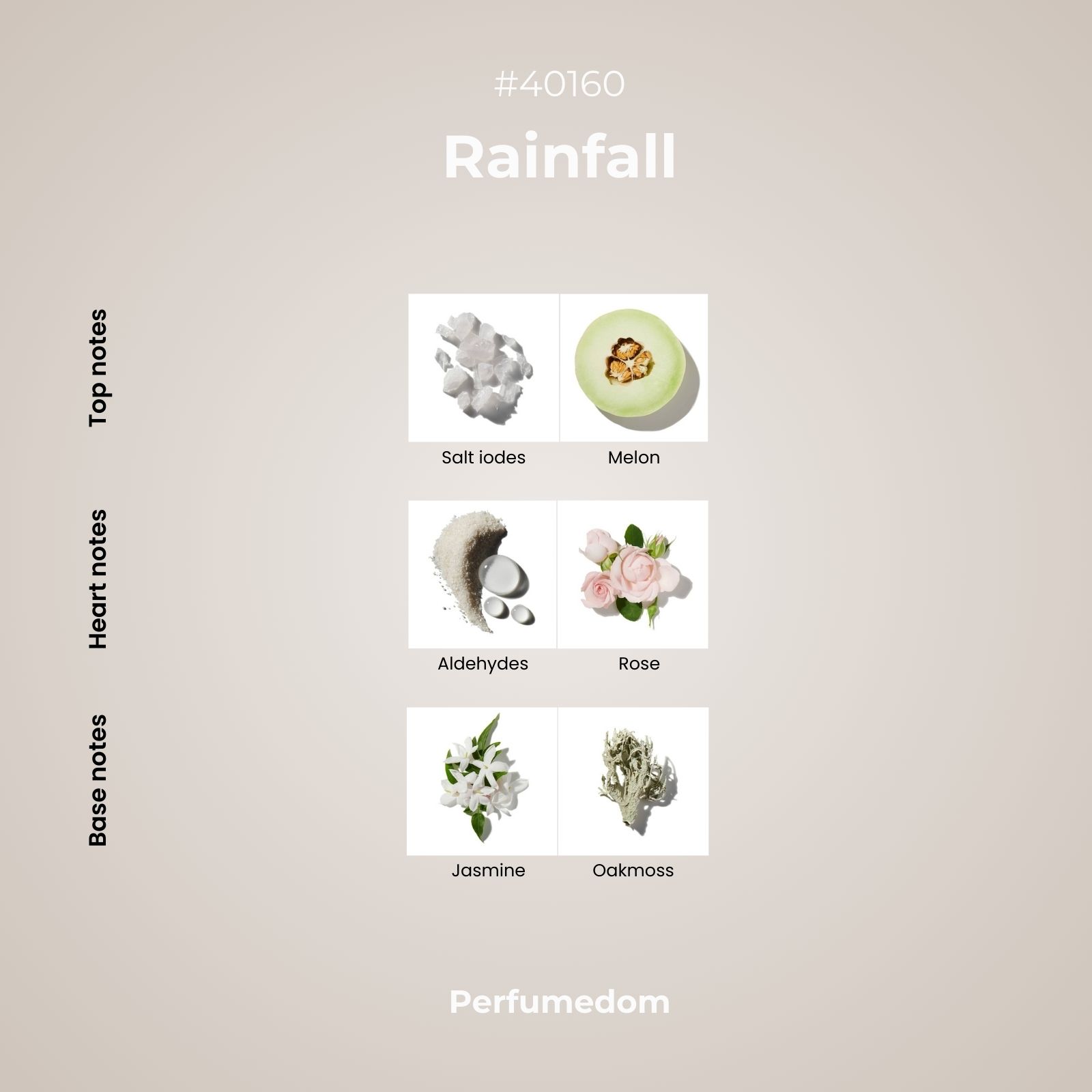 Rainfall fragrance oil scent pyramid