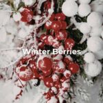 Winter Berries