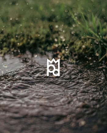 Petrichor Fragrance Oil