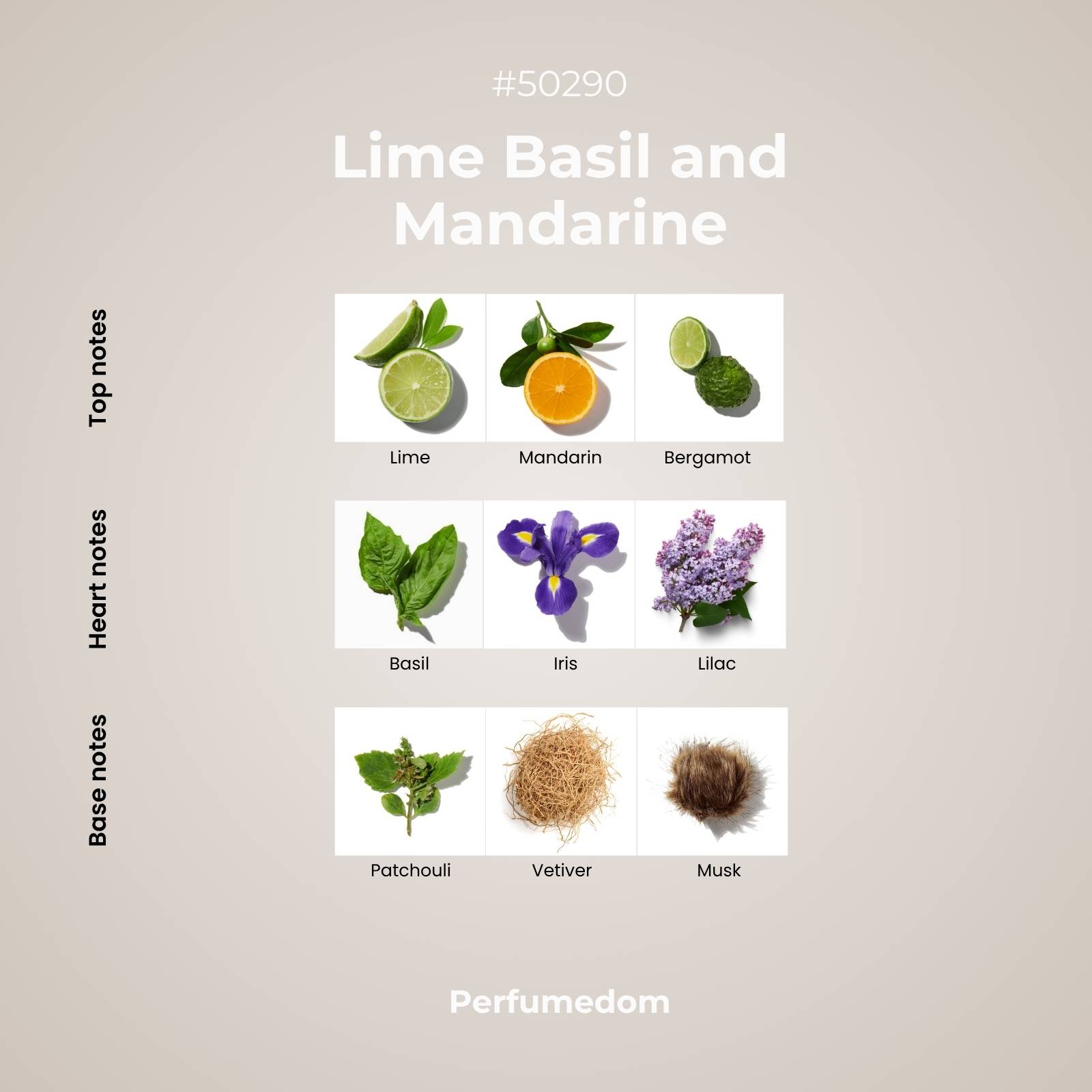 Lime Basil and Mandarine Fragrance Oil scent pyramid