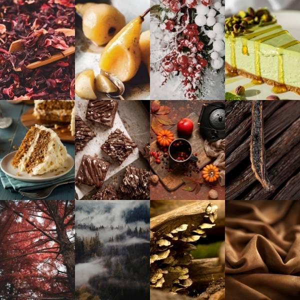 The Scent Stash FW 26/27 Edition scents