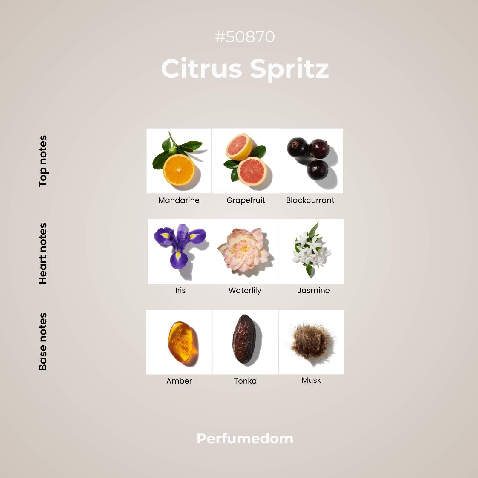 Citrus Spritz Fragrance Oil scent pyramid