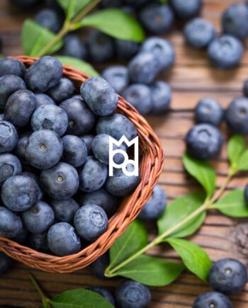 Blueberry Bramble Fragrance Oil