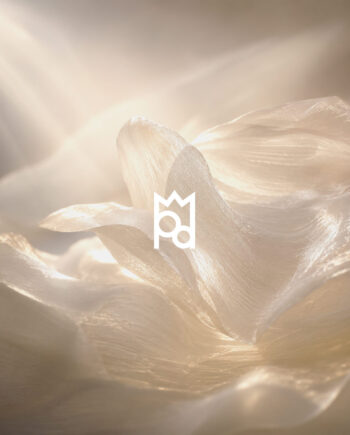 Hedione Aroma Molecule