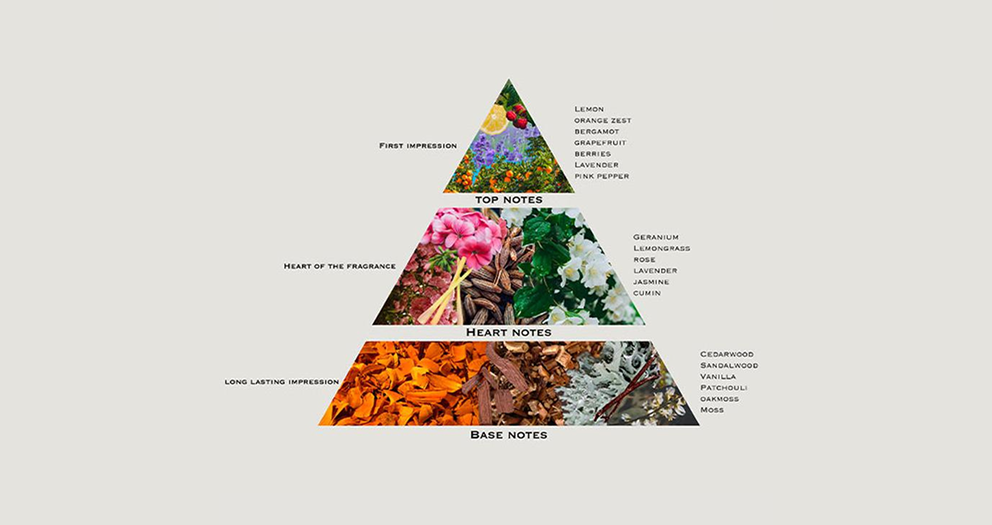 What do fragrance notes mean