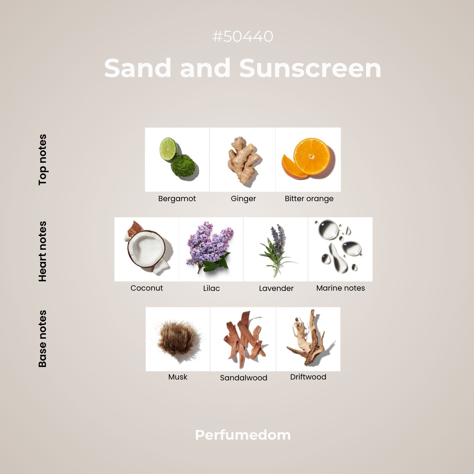 Sand and Sunscreen Fragrance Oil - Image 2