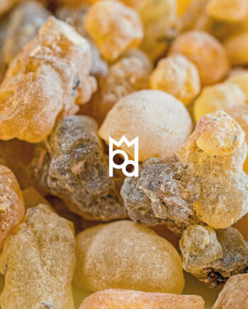Frankincense Essential Oil