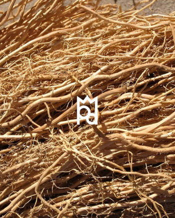 Vetiver Essential Oil